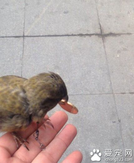 我想知道这货怎么练的