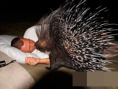 跨越种族的爱情