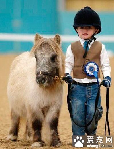 大人有大马，俺就骑小马