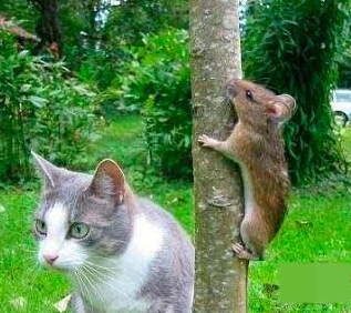 小样，别让我找到你~