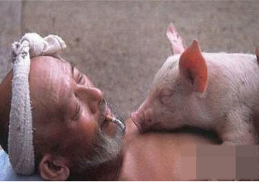 大爷您这是得多寂寞