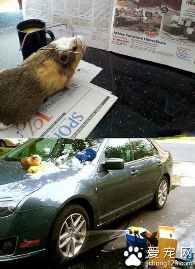 别看我小，十八般武艺样样精通