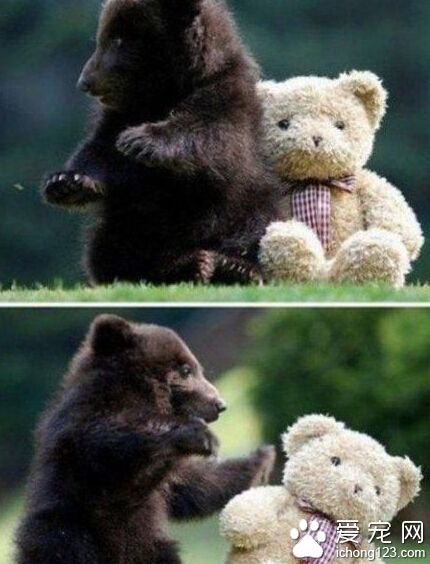 妹子，妹子，和伦家说说话嘛。。