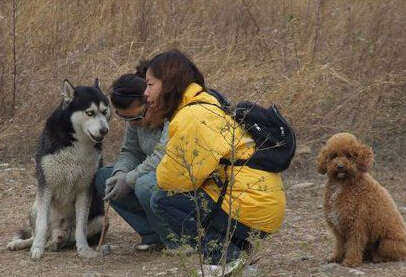 “麻，我给你说，后边那个小黄狗是个小胖纸～”