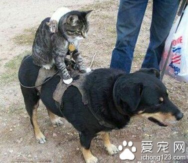 一家三口去旅行。