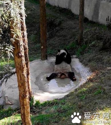 哎呀，掉水池啦，真不好意思