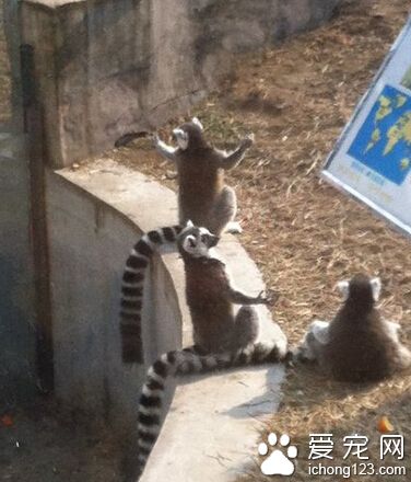 神啊，赐予我力量吧