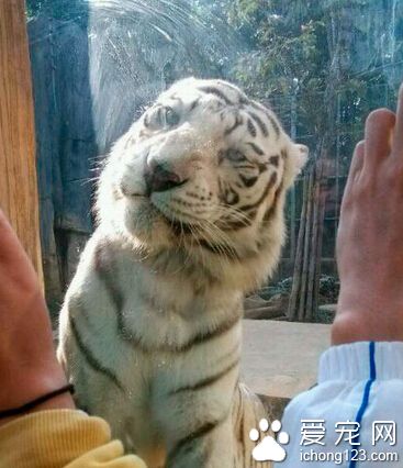 小白，不卖萌咱们还是好朋友！