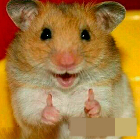 我觉得2楼JJ大约这么长