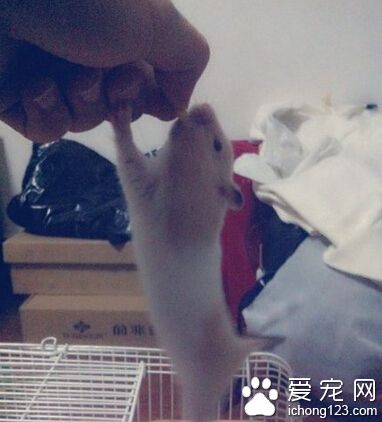 吃货的本质，这尼玛都飞起来了~