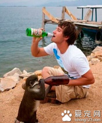 我们一醉方休吧