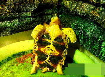 想干嘛？不要拍我