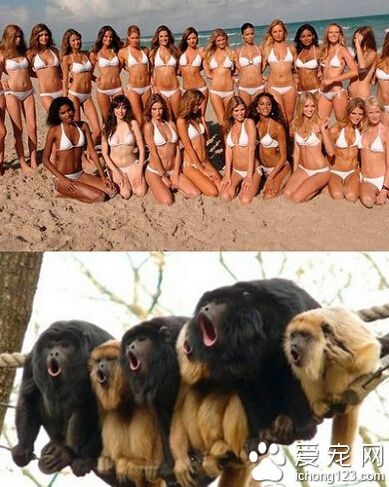 要不要这么激动？