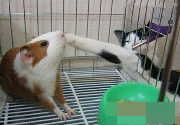 你丫给我过来！我已经忍你很久了！