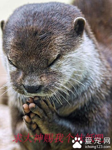 屌丝何苦为难屌丝～