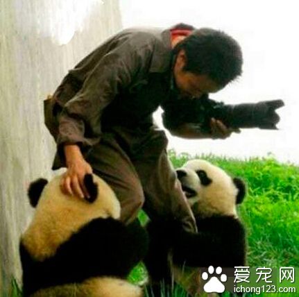 不给拍彩色照片不让走