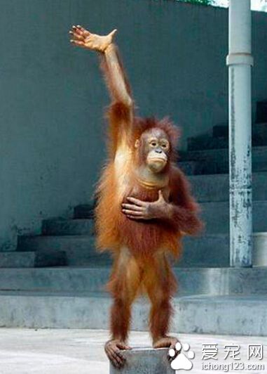 出租车，停一下