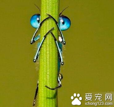 你看不见我，你看不见我……