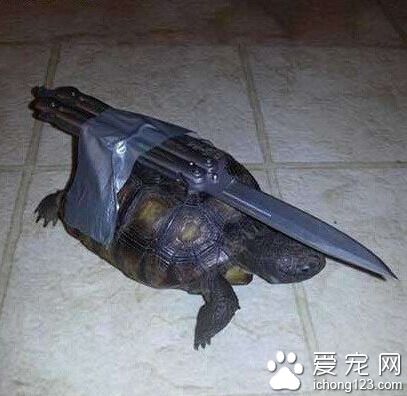 师傅我准备出发了