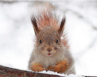 啊~~被你发现啦...