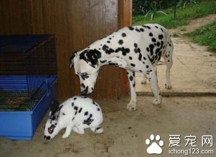 第7天：他开始怀疑我了