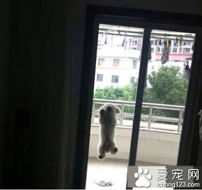 放伦家进来吧我保证再也不偷看你洗澡了！