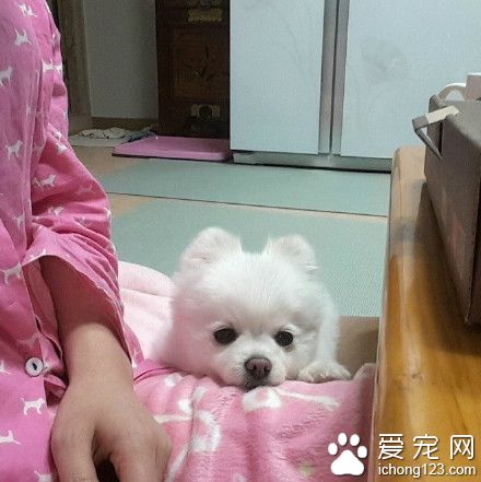 就在嘴边却吃不到 是对吃货最大的侮辱