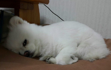 就在嘴边却吃不到 是对吃货最大的侮辱