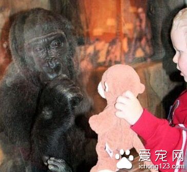 让我想想...这好像不是我的孩子！！