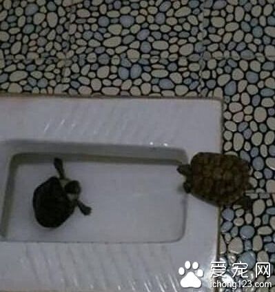 哥快救我！！这里好臭！！！