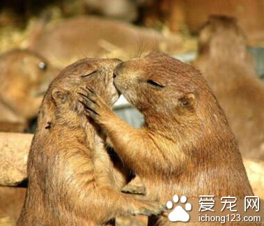 我又相信爱情了，好温馨哟。