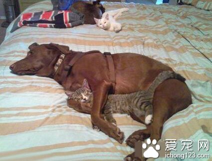 你为什么背着我爱别人！