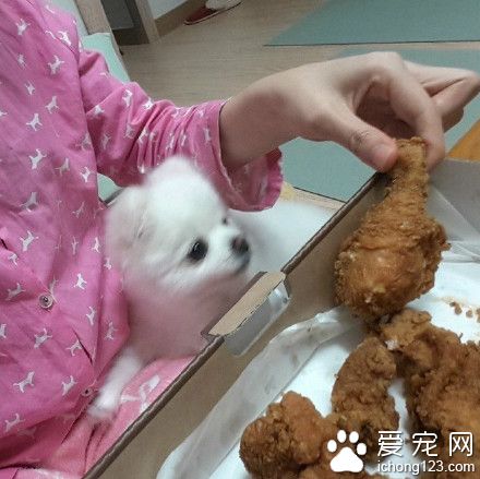 就在嘴边却吃不到 是对吃货最大的侮辱