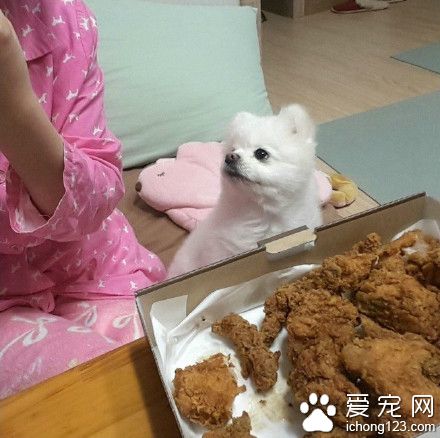 就在嘴边却吃不到 是对吃货最大的侮辱