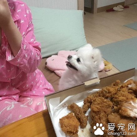 就在嘴边却吃不到 是对吃货最大的侮辱