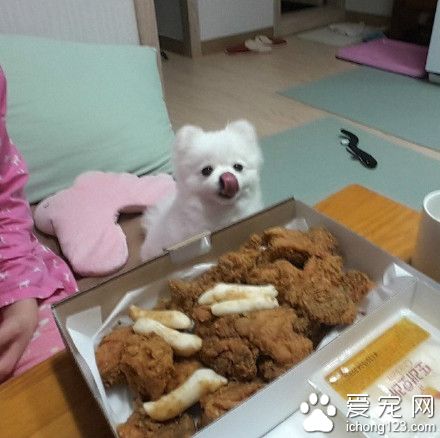 就在嘴边却吃不到 是对吃货最大的侮辱