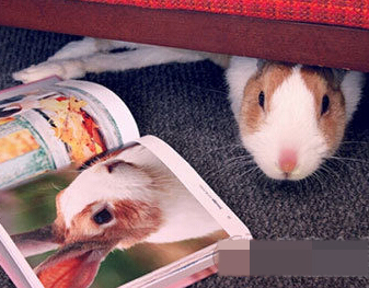 朋友说我上杂志了，我看看是不是跟我长的很像。。。