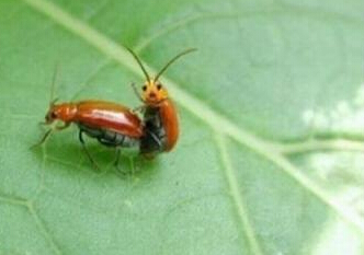 专心做你的事，不用跟我们打招呼。。。