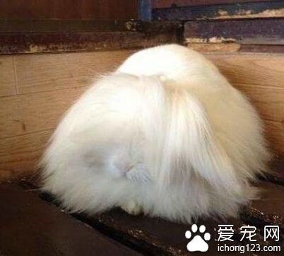 孩子，该剪刘海了