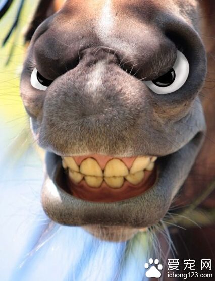 你们实在没什么可玩的了吗？？