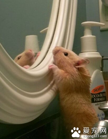 主人设计的太高了，都照不到人家的脸了，等下怎么去约会啊～