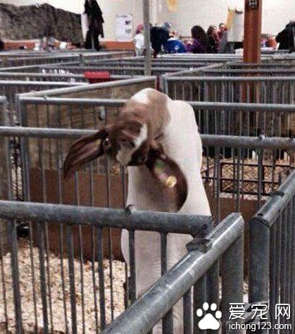 咦？是你在偷拍我吗？！