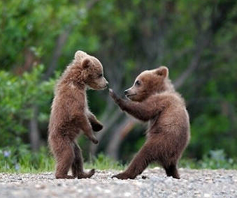 来啊，跟哥打啊，哥跟李小龙练过的！