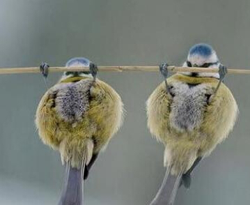 好欢乐的图，求配词