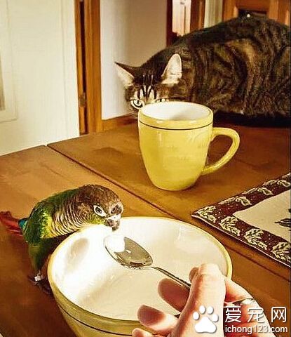 主淫，你先把它喂饱，剩下的我自己解决