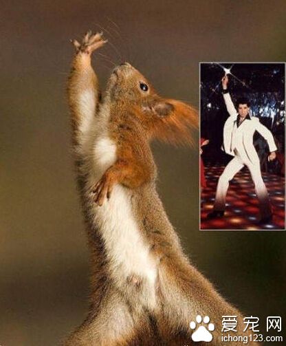 搞笑就在一瞬间