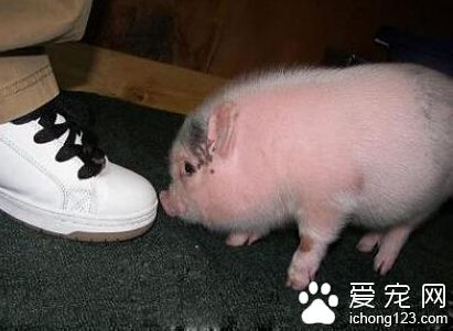 哎呀，介不是存钱罐吗？