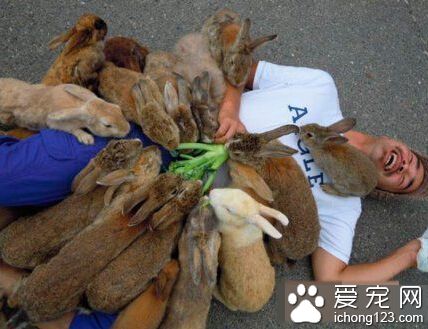 且看屌丝男是如何用一颗青菜勾引到萌物无数。