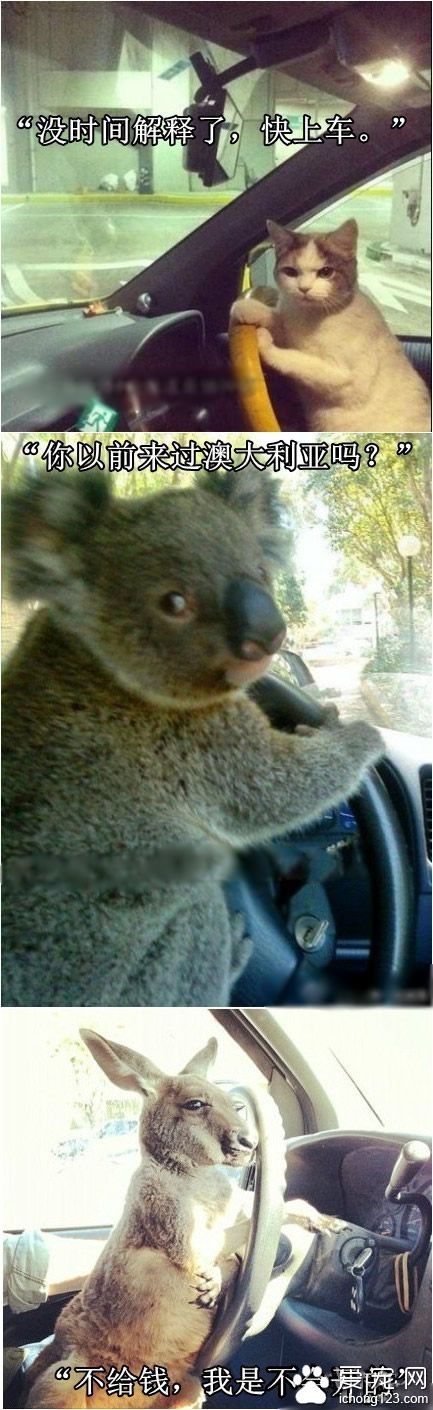 你们真的是够了！