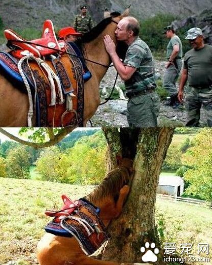 这就是赤果果的非礼，马兄都害羞了~